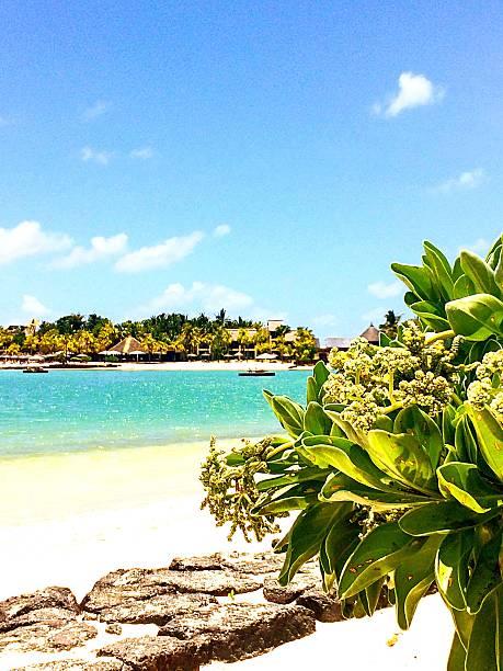 L’île Maurice en 2023 – une destination fiscale avantageuse pour les entreprises belges