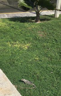 Tout ça m’a manqué Tout ça m’a manqué