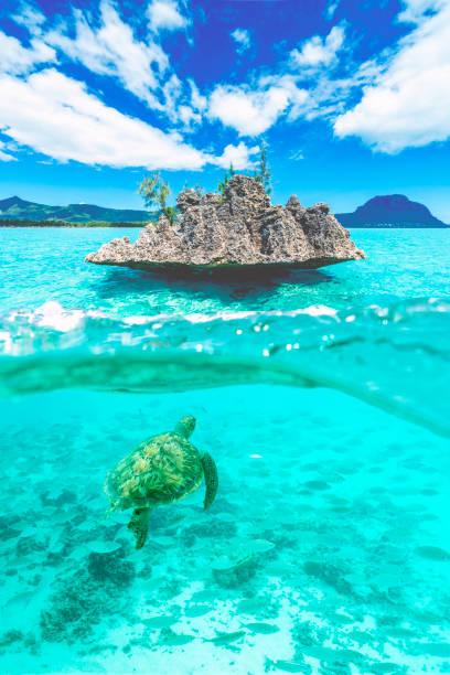 Voyager à l’Ile Maurice – Guide pour les retraités Voyager à l’Ile Maurice – Guide pour les retraités