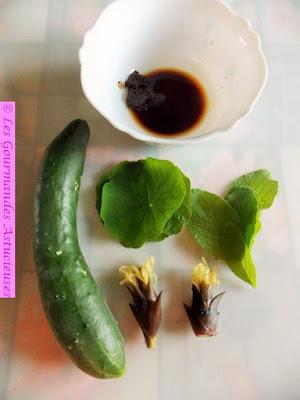 Salade de concombre au gingembre japonais Mogia (Vegan)