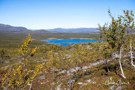 À la découverte des îles Lofoten et Vesteralen : La Finlande et sa toundra !