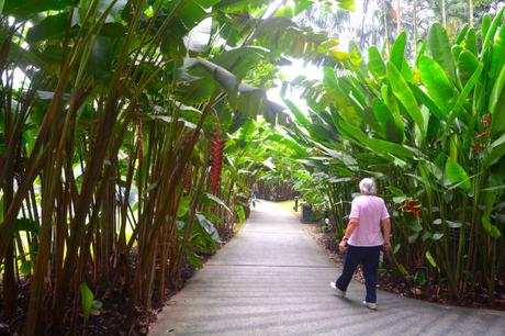 Comment l’île Maurice peut booster votre business Comment l’île Maurice peut booster votre business