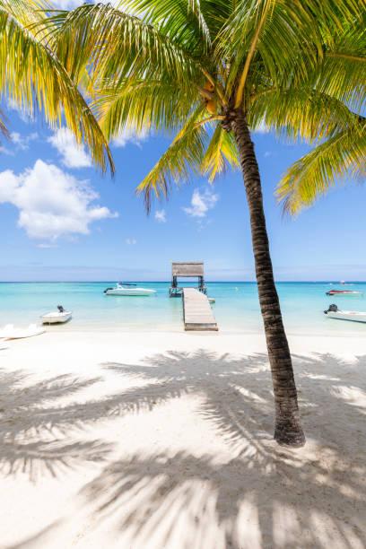 Comment l’île Maurice peut booster votre business Comment l’île Maurice peut booster votre business