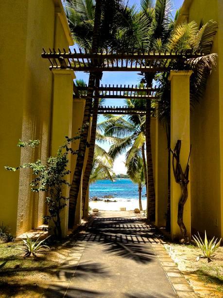 L’Ile Maurice, un paradis écologique qui attire les retraités