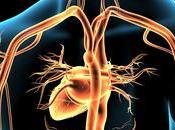 EXERCICE nerf vague contribue aussi performance