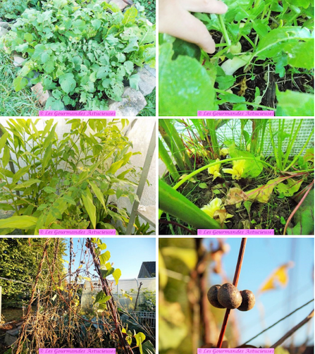 Légumes marinés et confits, accompagnés de fruits de l'igname de Chine (Vegan)