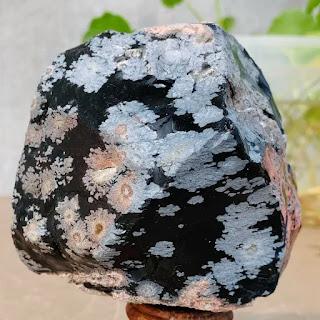 Flocons de pensées Flocons de pensées