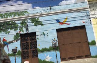 Mérida - images des couleurs locales Mérida - images des couleurs locales