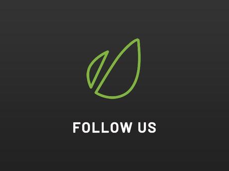 Zumar – Thème WordPress Elementor créatif et polyvalent suivre