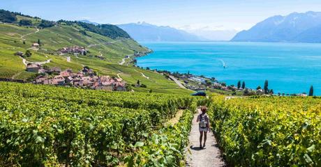 Les Vignobles du Lavaux en Suisse