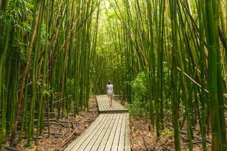 Les raisons pour lesquelles l’île Maurice est un lieu idéal pour les personnes souffrant de dépression Les raisons pour lesquelles l’île Maurice est un lieu idéal pour les personnes souffrant de dépression