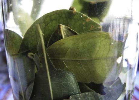 Voyage au Pérou : 5 choses que je vais dire à ma mère