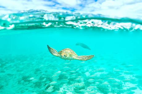 L’industrie du Tourisme à l’île Maurice – une Opportunité à ne pas Manquer