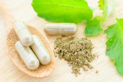 Les mécanismes moléculaires des plantes sont-ils la clé de la découverte de nouveaux médicaments capables de prévenir les maladies humaines ? (Visuel Fotolia 98390165) Les mécanismes moléculaires des plantes sont-ils la clé de la découverte de nouveaux médicaments capables de prévenir les maladies humaines ? (Visuel Fotolia 98390165)