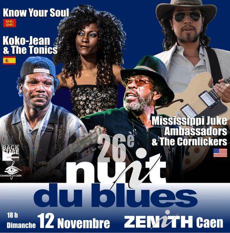 #CONCERTS - 26ème Nuit du Blues au Zénith de Caen ! #CONCERTS - 26ème Nuit du Blues au Zénith de Caen !