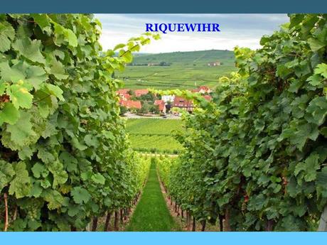 La France - Les Vins d'Alsace