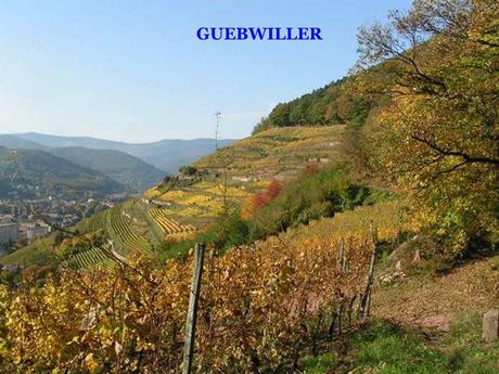 La France - Les Vins d'Alsace