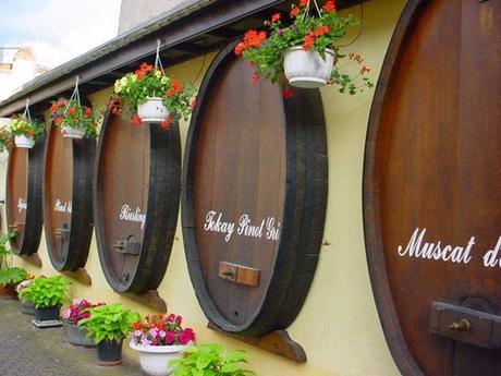 La France - Les Vins d'Alsace