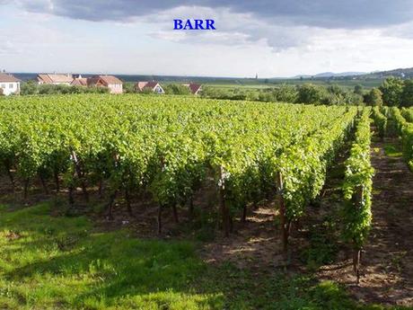 La France - Les Vins d'Alsace