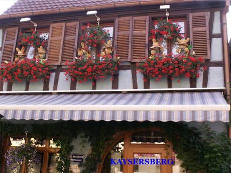 La France - Les Vins d'Alsace