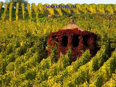 La France - Les Vins d'Alsace