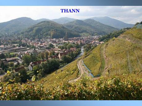 La France - Les Vins d'Alsace