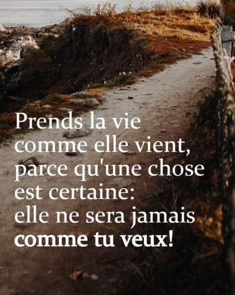 Divers - quelques jolies citations