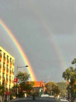 Le Canada - La canneberge