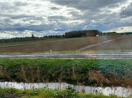 Le Canada - La canneberge