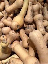 Le Canada - La courgerie