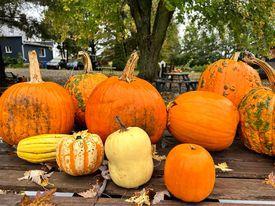 Le Canada - La courgerie