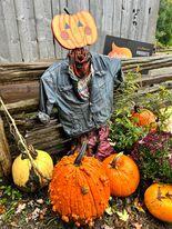 Le Canada - La courgerie