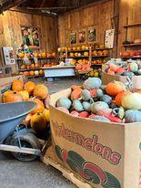 Le Canada - La courgerie