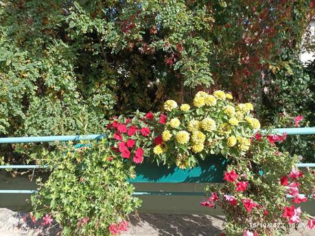 La France - Pont de Veyle  - village