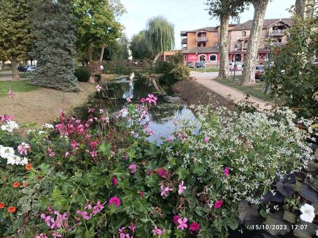 La France - Pont de Veyle  - village