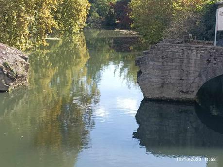 La France - Pont de Veyle  - village