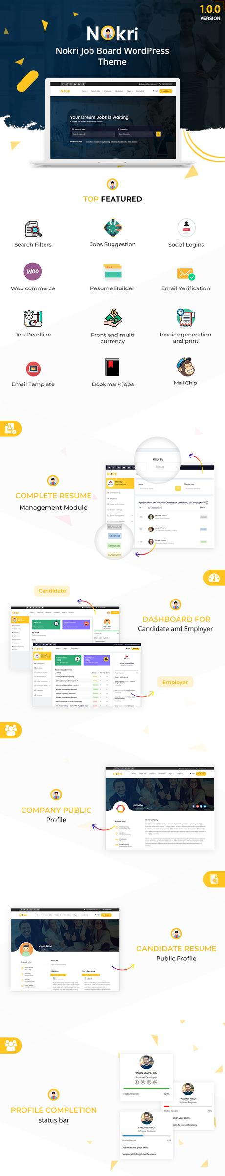 Nokri – Thème WordPress pour le site d’emploi aperçu principal