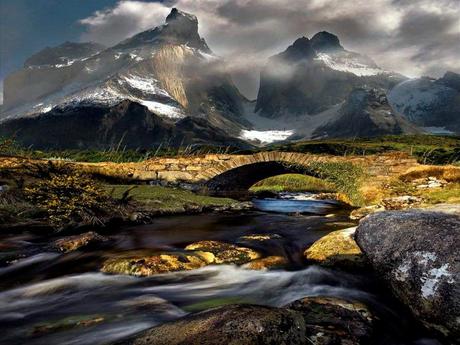 Divers - Pour la beauté