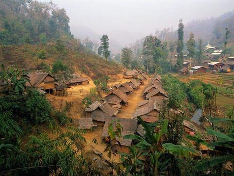 Divers - Pour la beauté