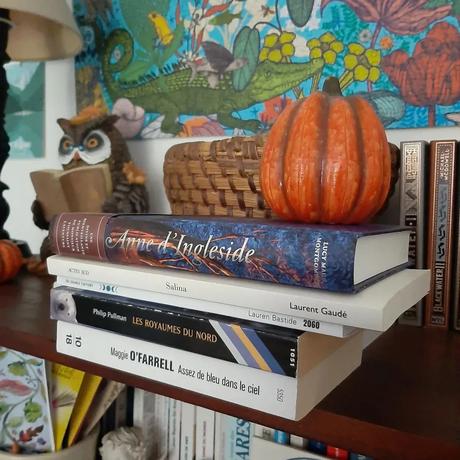 A quoi s’attendre en novembre sur le blog