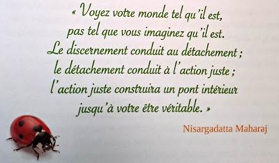 Développer son discernement Développer son discernement