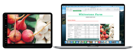 DUEX Lite & DUEX Plus en test : Extension d’affichage pratique ? DUEX Lite & DUEX Plus en test : Extension d’affichage pratique ?