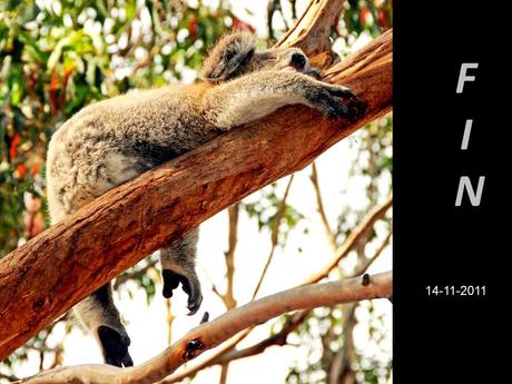 Australie - De beaux endroits à voir