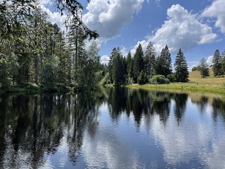 Etang de la Gruère Etang de la Gruère