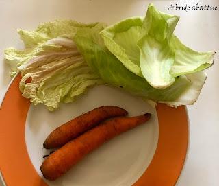 Je lacto-fermente et je conserve