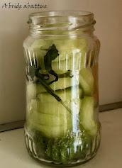 Je lacto-fermente et je conserve