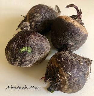 Je lacto-fermente et je conserve