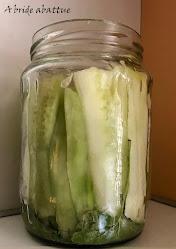 Je lacto-fermente et je conserve Je lacto-fermente et je conserve