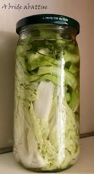 Je lacto-fermente et je conserve Je lacto-fermente et je conserve