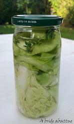 Je lacto-fermente et je conserve